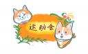 运动会展示方案