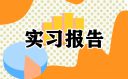 实习报告手册