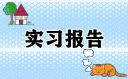 实习报告手册2000字