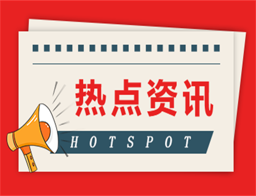 《消失的她》剧情介绍及大结局
